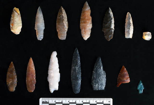 <p>Stone projectile points discovered buried inside and outside of pit features at the Cooper’s Ferry site, Area B</p>